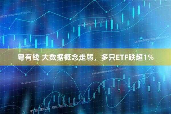 粤有钱 大数据概念走弱，多只ETF跌超1%