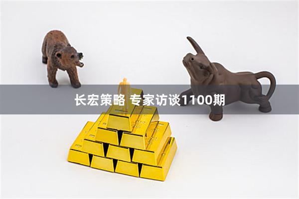 长宏策略 专家访谈1100期