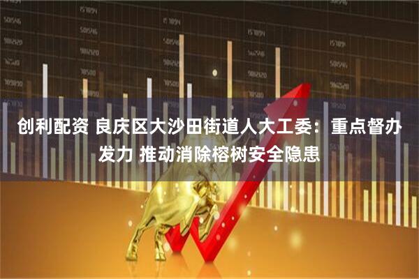 创利配资 良庆区大沙田街道人大工委：重点督办发力 推动消除榕树安全隐患